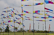 Parco San Giuliano  - 144